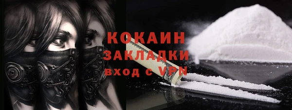 шишки Володарск