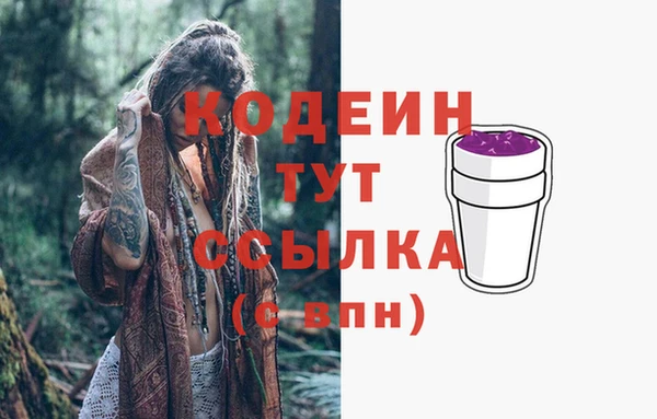 шишки Володарск