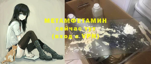 прущие крисы Горняк