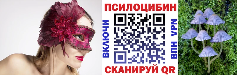 Галлюциногенные грибы GOLDEN TEACHER  маркетплейс Telegram  Жердевка 