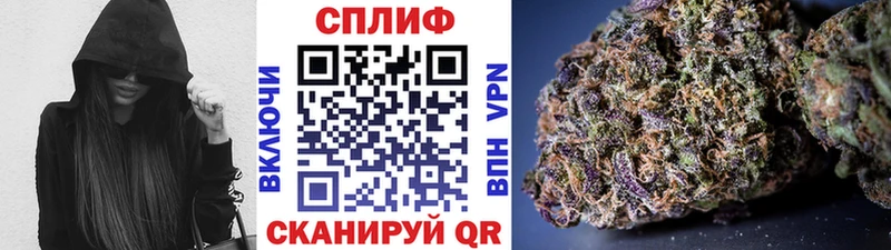 где купить наркоту  Жердевка  Каннабис ГИДРОПОН 